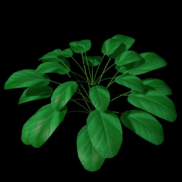 Small Plant preview image 1